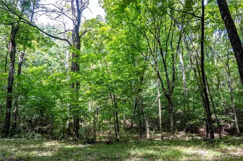 Exterior - 2 Whitetail Ridge Rd, Eolia, MO 63344 photo 29 of 30