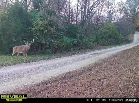 Other - 2 Whitetail Ridge Rd, Eolia, MO 63344 photo 18 of 45