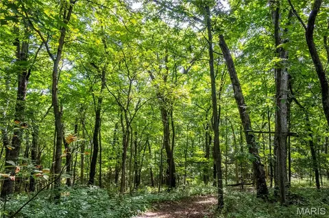 Other - 2 Whitetail Ridge Rd, Eolia, MO 63344 photo 39 of 45