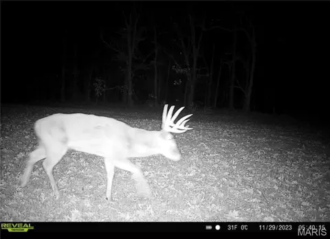 Other - 2 Whitetail Ridge Rd, Eolia, MO 63344 photo 26 of 45