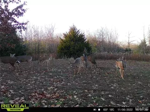 Other - 2 Whitetail Ridge Rd, Eolia, MO 63344 photo 25 of 45