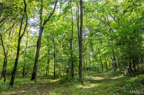 Exterior - 2 Whitetail Ridge Rd, Eolia, MO 63344 photo 30 of 30