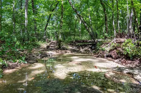 Other - 2 Whitetail Ridge Rd, Eolia, MO 63344 photo 43 of 45