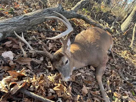 Other - 2 Whitetail Ridge Rd, Eolia, MO 63344 photo 31 of 45
