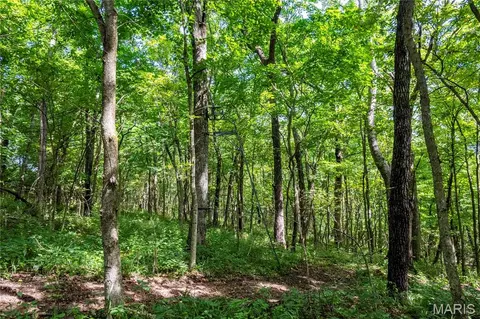 Exterior - 2 Whitetail Ridge Rd, Eolia, MO 63344 photo 22 of 30