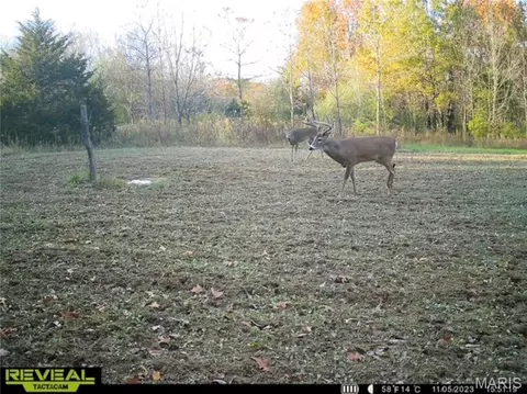 Other - 2 Whitetail Ridge Rd, Eolia, MO 63344 photo 2 of 45