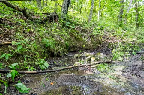Other - 2 Whitetail Ridge Rd, Eolia, MO 63344 photo 42 of 45