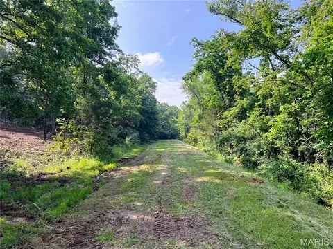 0 Mimeaux Ct, Bonne Terre, MO 63628
