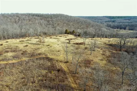 10331 Hopkins Rd, Potosi, MO 63664