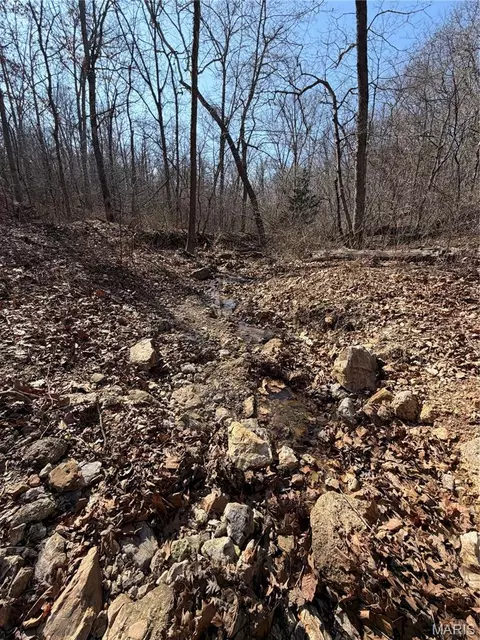 86 6- Acre Beechnut, Stover, MO 65078 photo 8