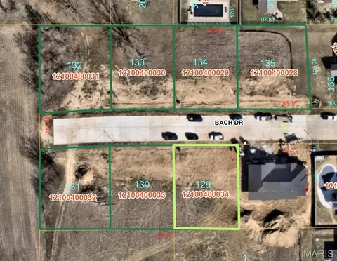 908 Bach Dr, Millstadt, IL 62260