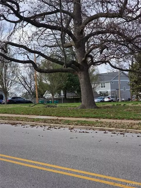 1008 N Bompartlotb Ave, Webster Groves, MO 63119