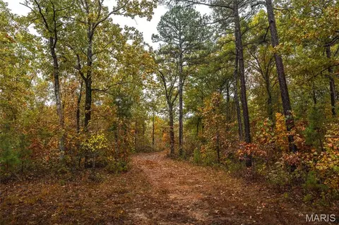 0 Lodge Tract 3a Rd, Bourbon, MO 65441 photo 15