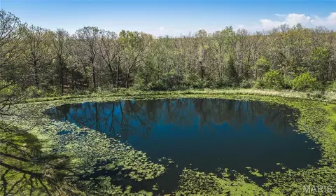 View/Area - 13515 County Road 2190, Rolla, MO 65401 photo 4 of 5