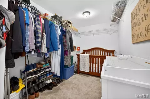 Other - 16310 Sugar Pine Ct, Wright City, MO 63390 photo 9 of 22