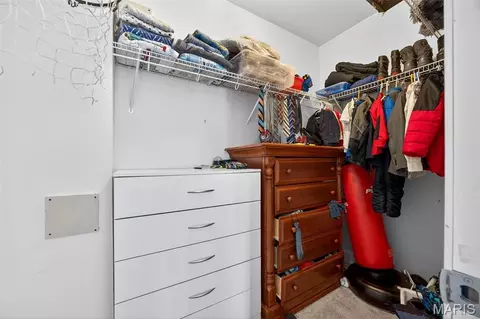 Other - 16310 Sugar Pine Ct, Wright City, MO 63390 photo 22 of 22
