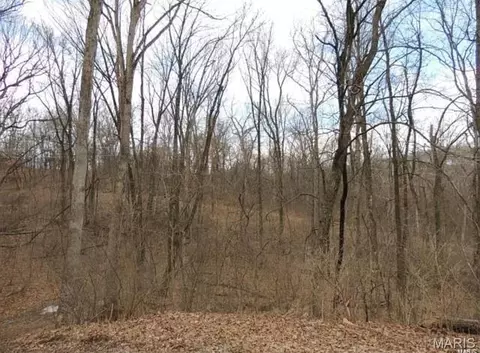 1001 Chesterfield Forest Dr, Wildwood, MO 63005