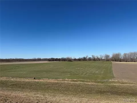 000 Levee Rd, Valmeyer, IL 62295 photo 3