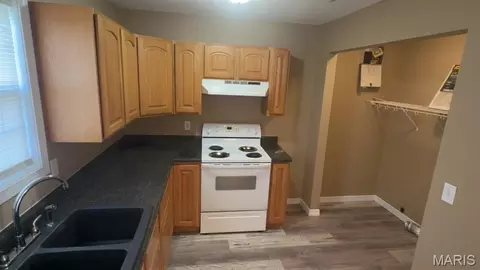 703 Patti Ln, Dexter, MO 63841 photo 3