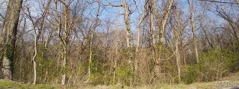 Apn Briggs Street, Edwardsville, IL 62025