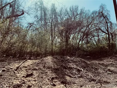 10726 Ridge Ave, Unincorporated, MO 63114