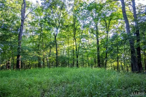 Exterior - 161 Van Booven Ln, Hermann, MO 65041 photo 21 of 25