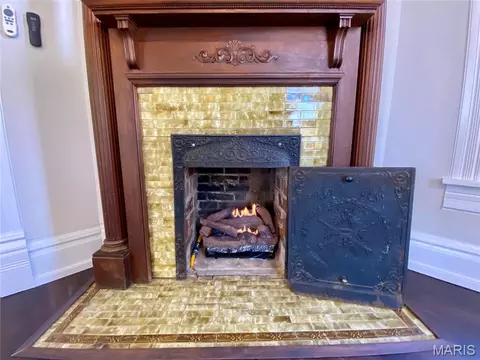 Other - 145 Ellis Ave, Troy, MO 63379 photo 3 of 18