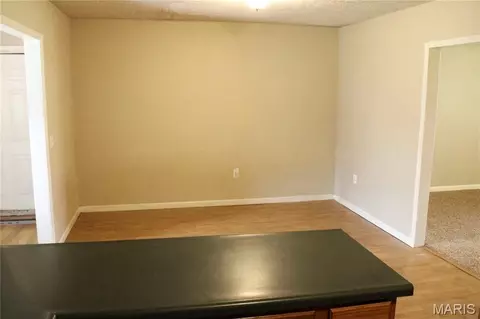 Other - 17504 Rigdon St, Kennett, MO 63857 photo 2 of 6