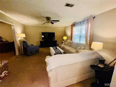 Living - 17504 Rigdon St, Kennett, MO 63857 photo 2 of 2