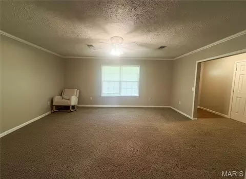 Living - 17504 Rigdon St, Kennett, MO 63857 photo 3 of 3
