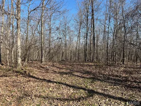 Parcel #1 Lake Road, Silva, MO 63964