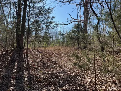 Parcel #2 Lake Road, Silva, MO 63964