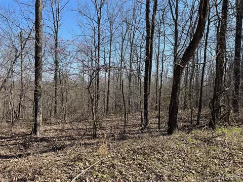 Parcel #3 Lake Road, Silva, MO 63964