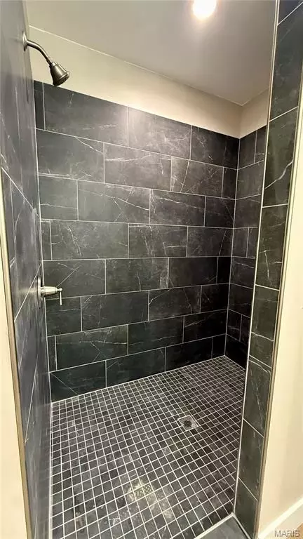 Bath - 205 E Larkspur Ct, Hannibal, MO 63401 photo 2 of 3