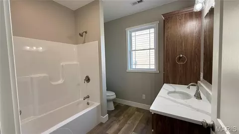 Bath - 205 E Larkspur Ct, Hannibal, MO 63401 photo 3 of 3