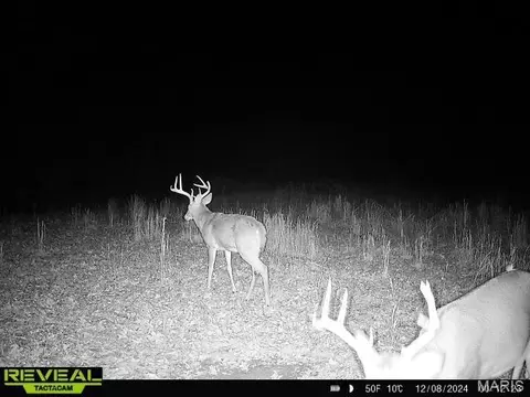 Other - 10095 Short Rd, Fletcher, MO 63030 photo 3 of 3