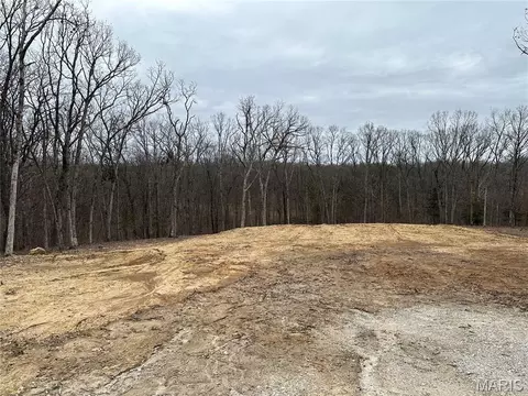 Tract 4 Walker Way, Monroe City, MO 63456