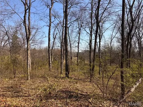 Other - 29086 State Highway Aa, Wright City, MO 63390 photo 24 of 36