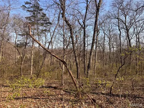 Other - 29086 State Highway Aa, Wright City, MO 63390 photo 23 of 36