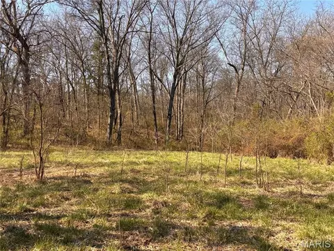 Other - 29086 State Highway Aa, Wright City, MO 63390 photo 22 of 36