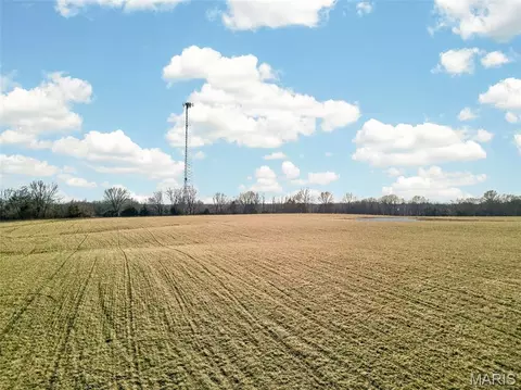 11 03 Cheatham Farm Ln, Troy, MO 63379 photo 14