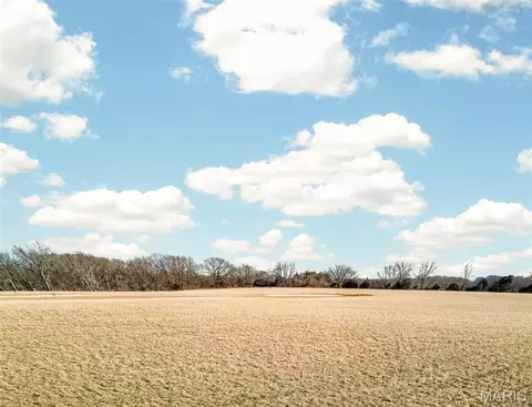 11 03 Cheatham Farm Ln, Troy, MO 63379 photo 13