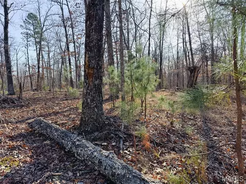 Other - 881 3 - Highway K, Jadwin, MO 65501 photo 24 of 25