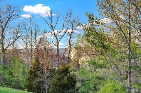 Other - 679 Bluffs View Ct, Eureka, MO 63025 photo 2 of 10