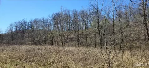 0 County Road 422, Ellington, MO 63638