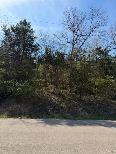 tbd Napoleon Dr, Bonne Terre, MO 63628