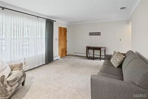 Living - 9 Beth Ann Dr, Belleville, IL 62221 photo 4 of 5