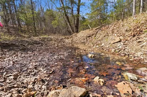 Other - 2480 County Road 317, Other, MO 65773 photo 16 of 29