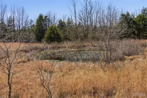 Other - 2480 County Road 317, Other, MO 65773 photo 14 of 29