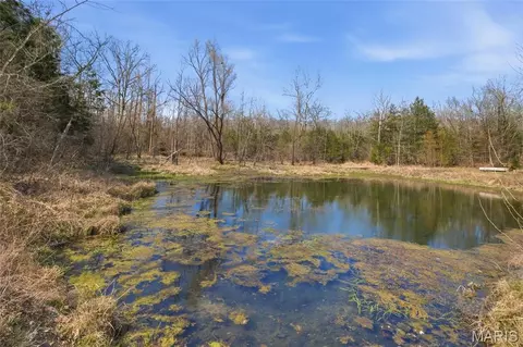 View/Area - 2480 County Road 317, Other, MO 65773 photo 15 of 18